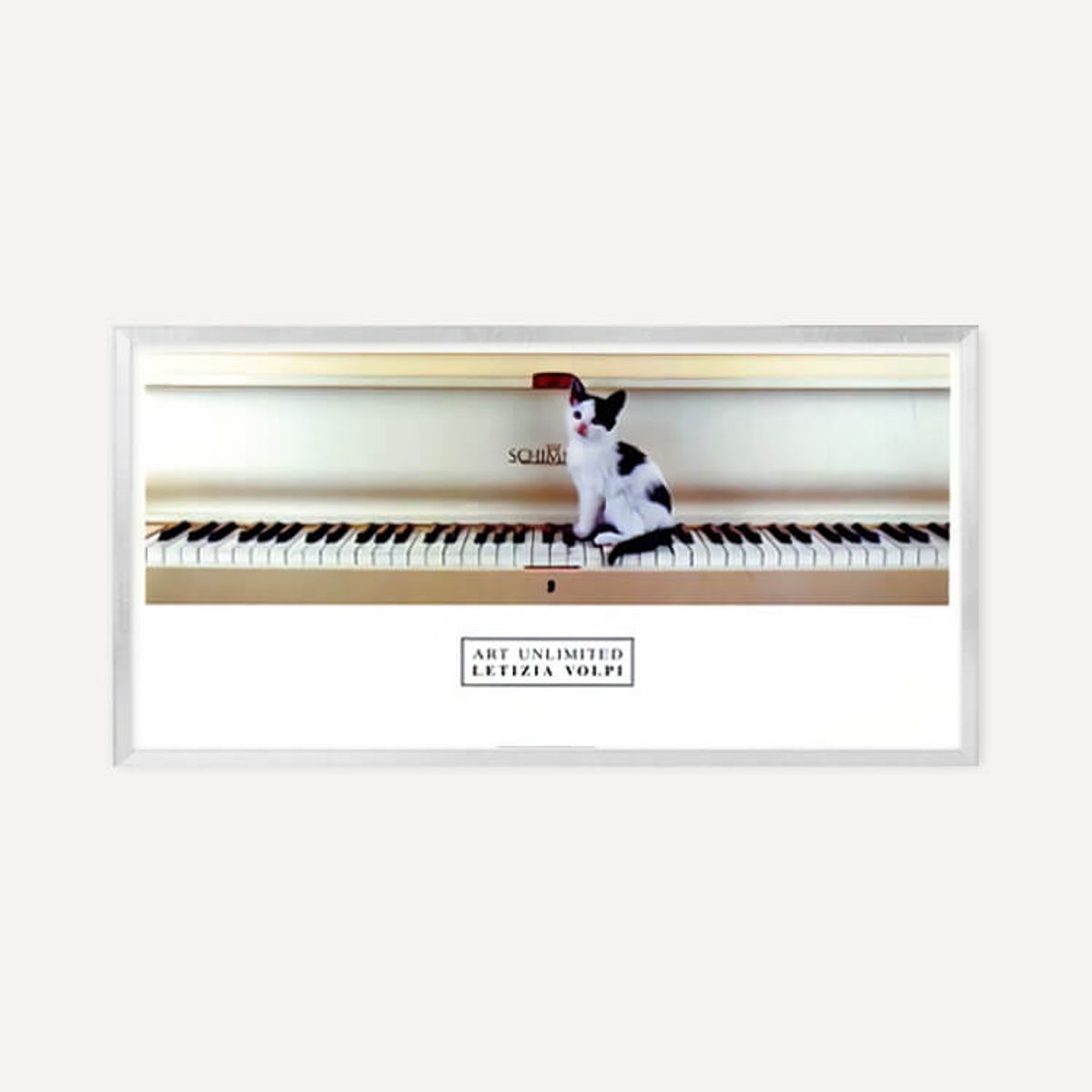 그릿시즌(GREET SEASON) 레티지아 볼피 Untitled (액자 포함)