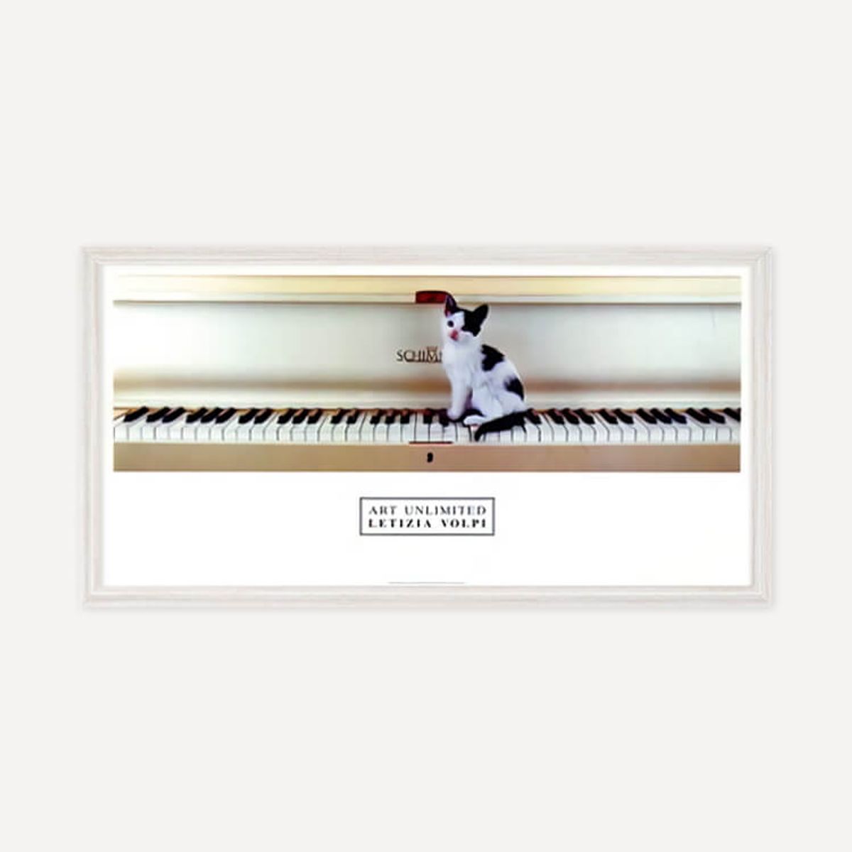 그릿시즌(GREET SEASON) 레티지아 볼피 Untitled (액자 포함)