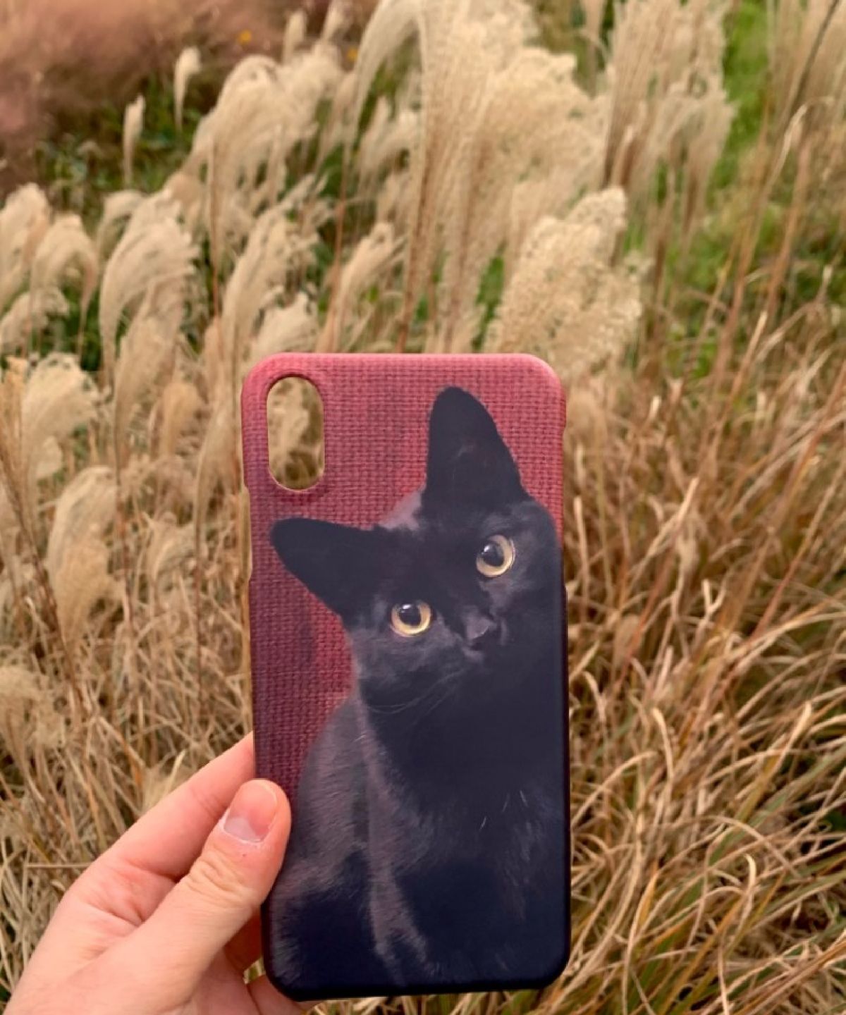 킥(KICK) Black cat hard case