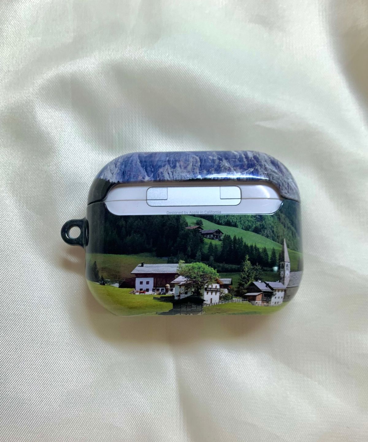 킥(KICK) Garden airpod case