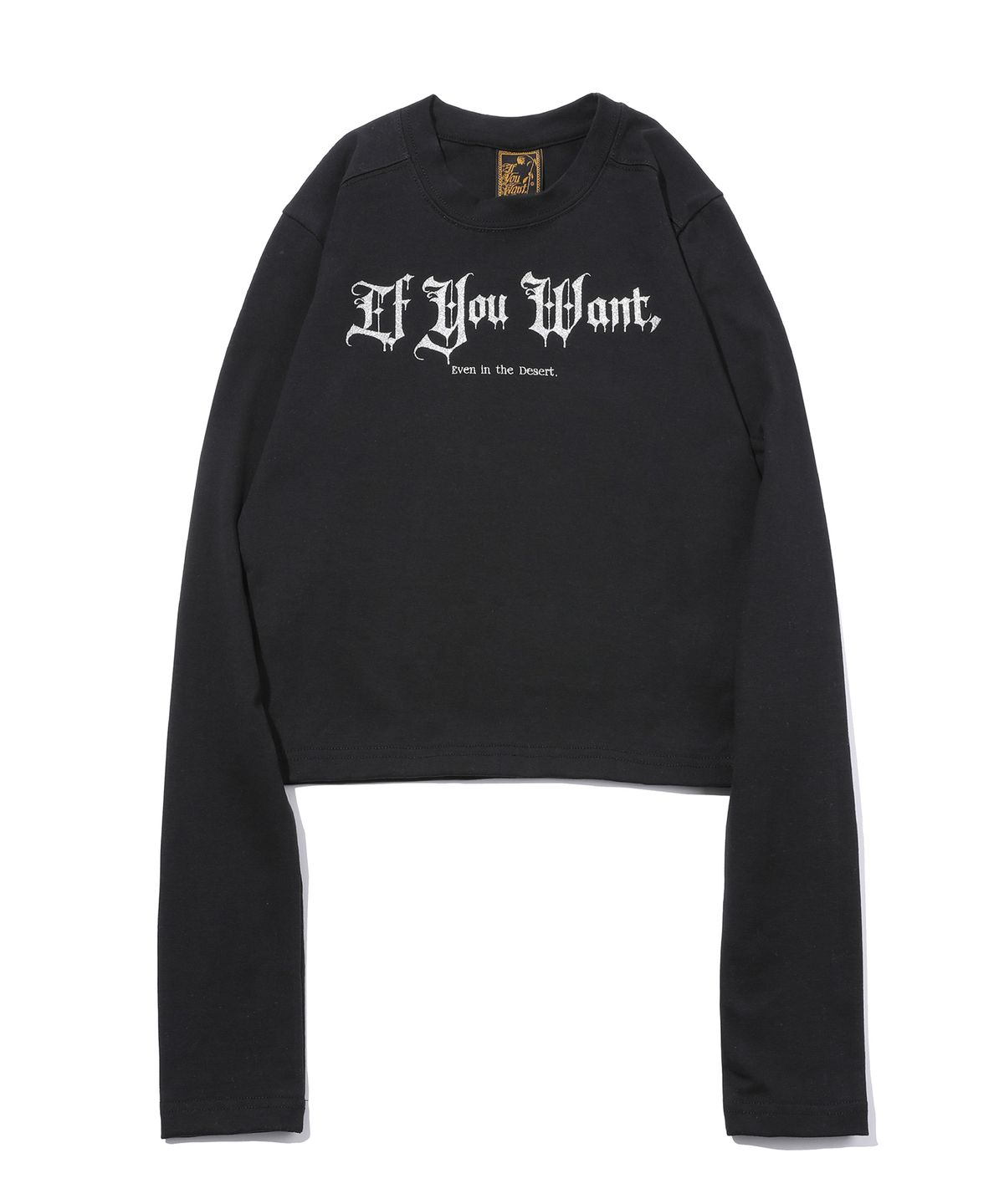 이퓨원트(IFYOUWANT) Glitter LOGO longsleeves black