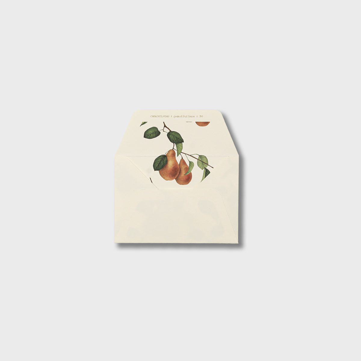 글월(GEULWOLL) Letter Set l Fruit Series 03 Chaumontel Pear