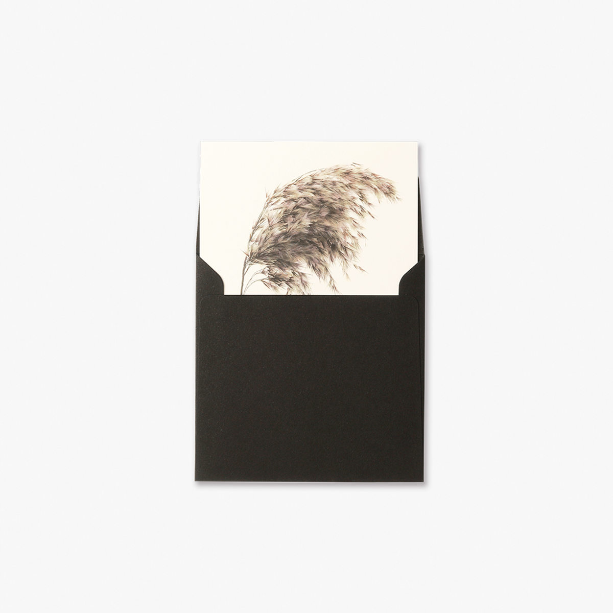 글월(GEULWOLL) Flower CardㅣReed