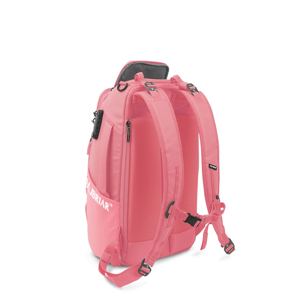 블랙브라이어(BLACK BRIAR) 25L 익스트림 어반 백팩 3.0 [라이트 핑크]
