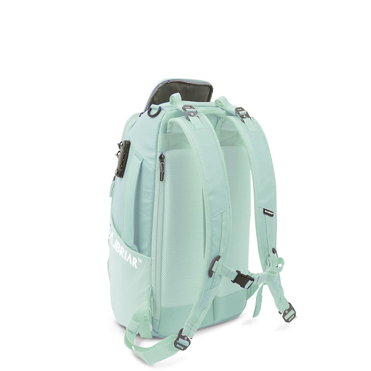 블랙브라이어(BLACK BRIAR) 25L 익스트림 어반 백팩 3.0 [야끼 그린]