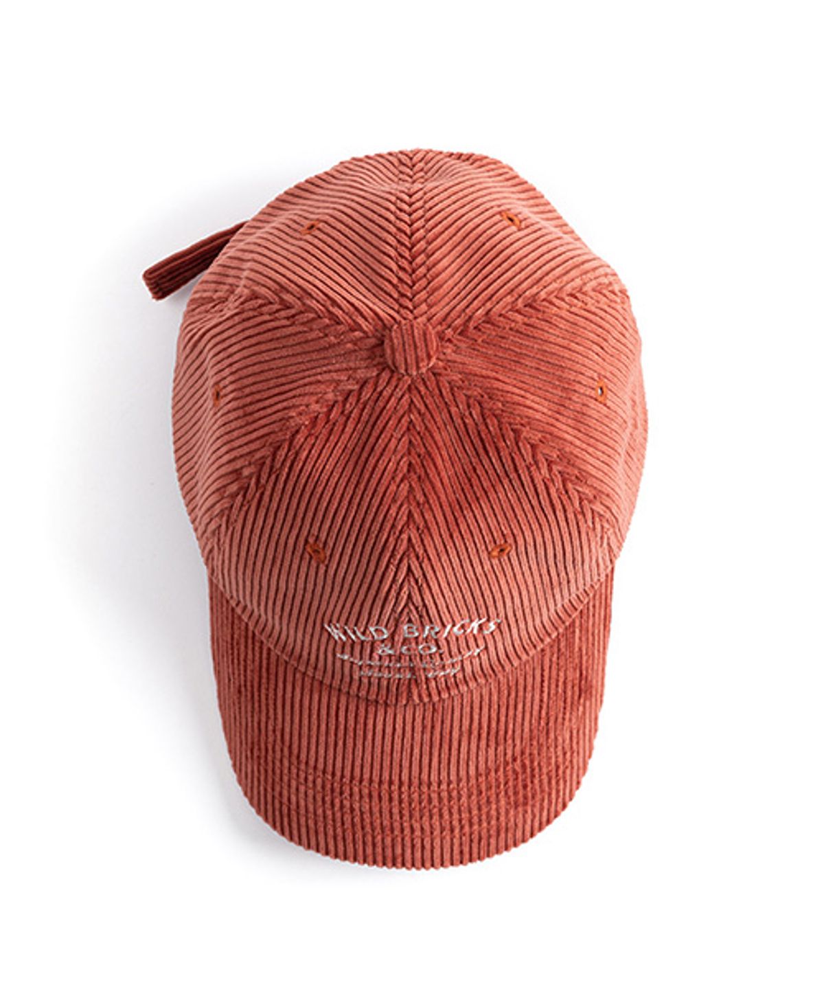 와일드 브릭스(WILD BRICKS) CD CLASSIC LOGO CAP (red)