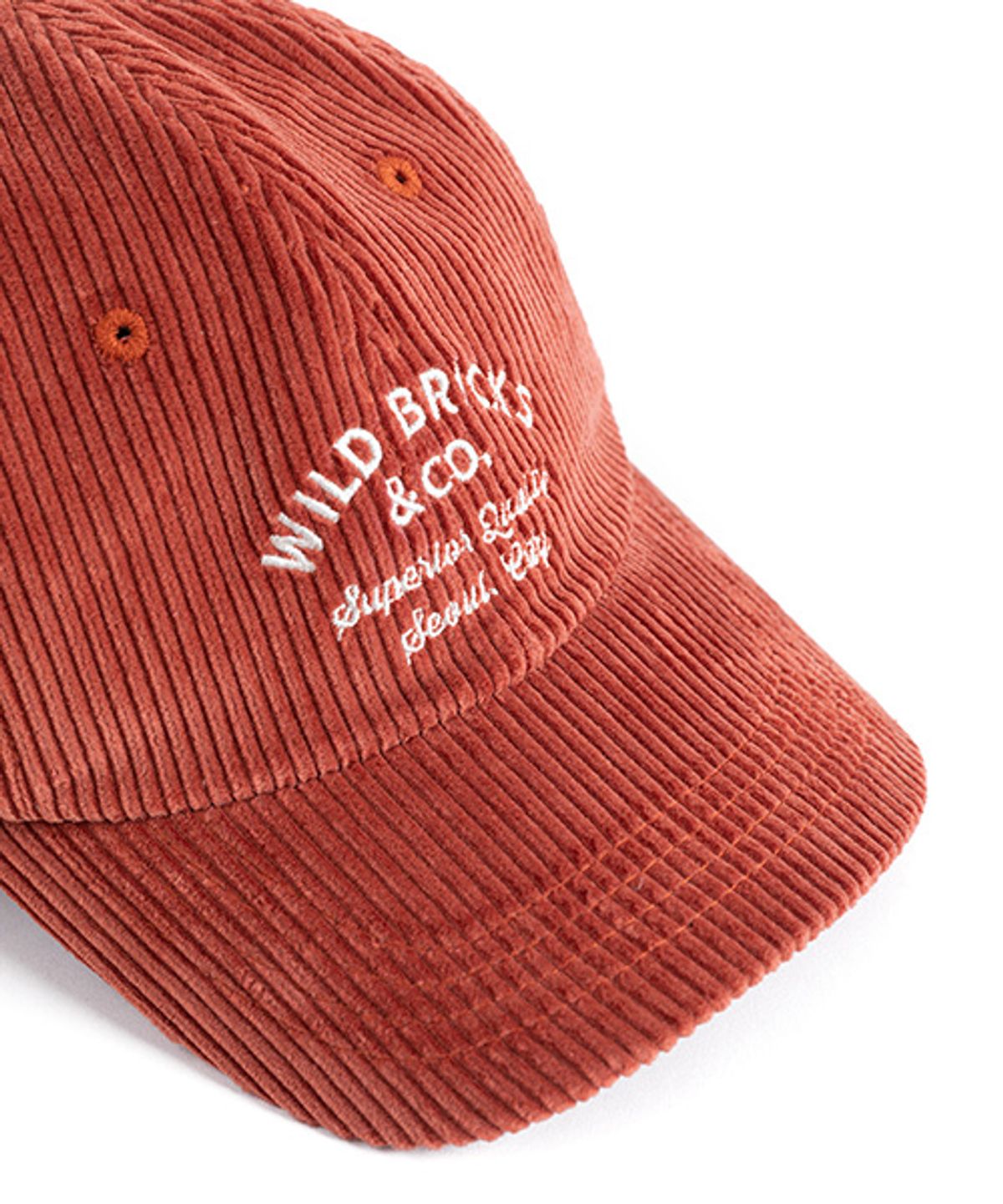 와일드 브릭스(WILD BRICKS) CD CLASSIC LOGO CAP (red)