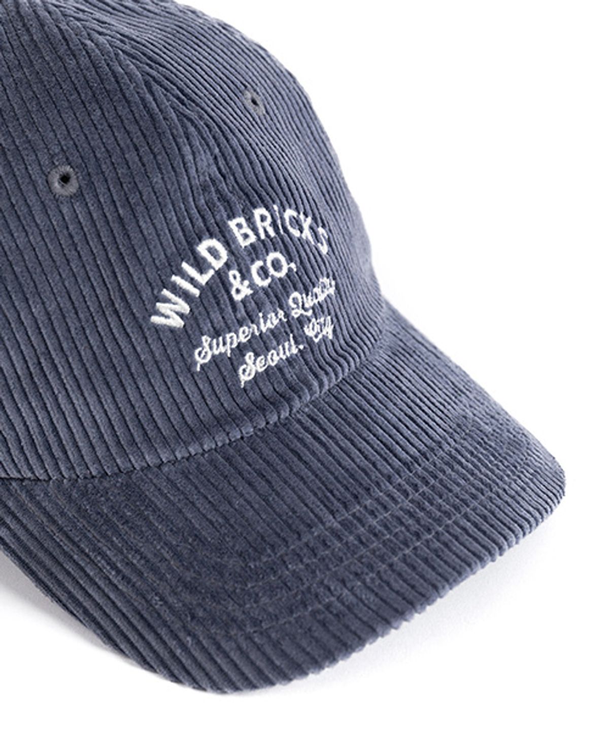 와일드 브릭스(WILD BRICKS) CD CLASSIC LOGO CAP (blue)