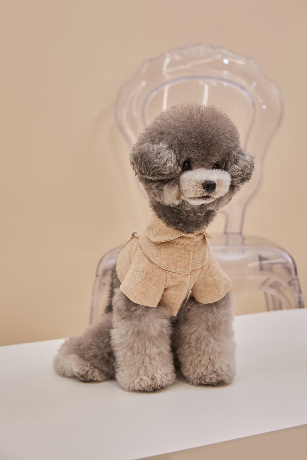 까이에(CAHIERS) 단추 포인트 크롭 자켓