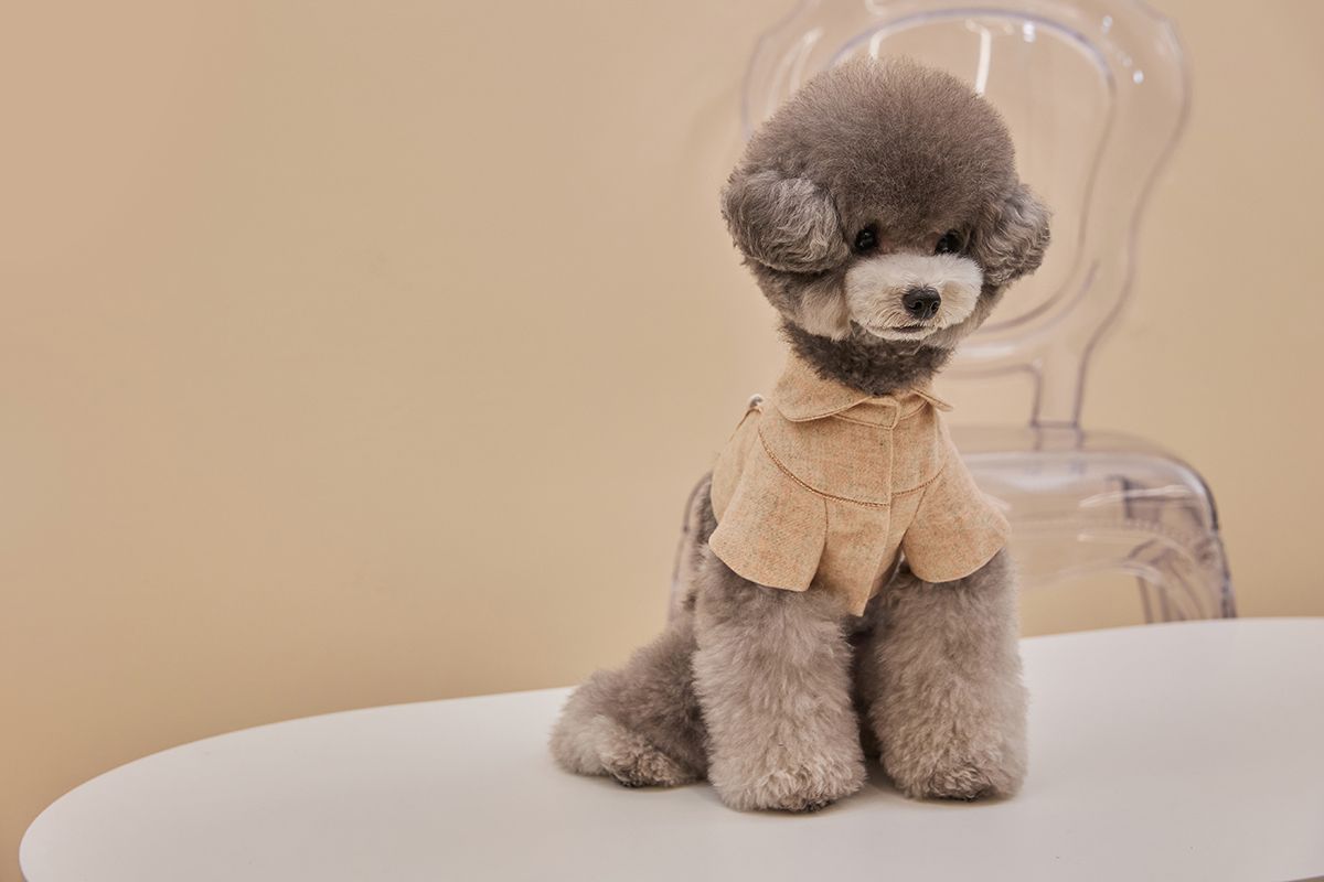 까이에(CAHIERS) 단추 포인트 크롭 자켓