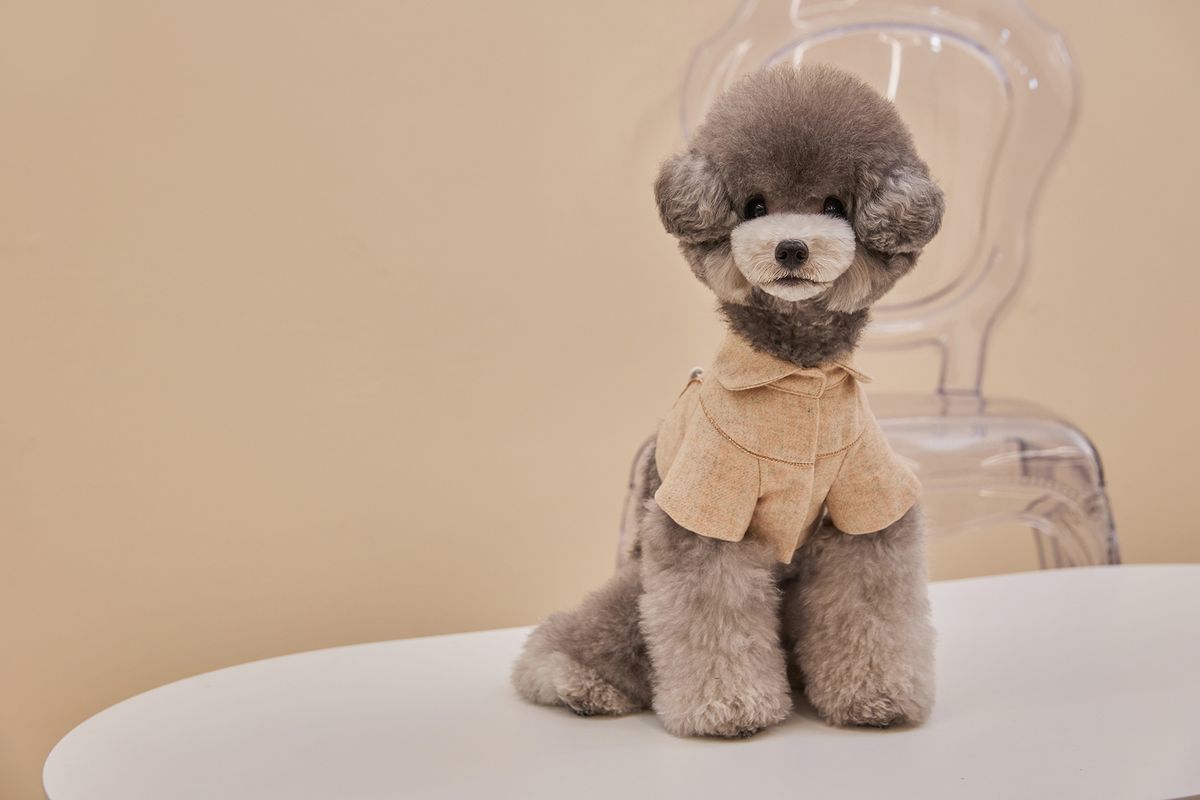 까이에(CAHIERS) 단추 포인트 크롭 자켓