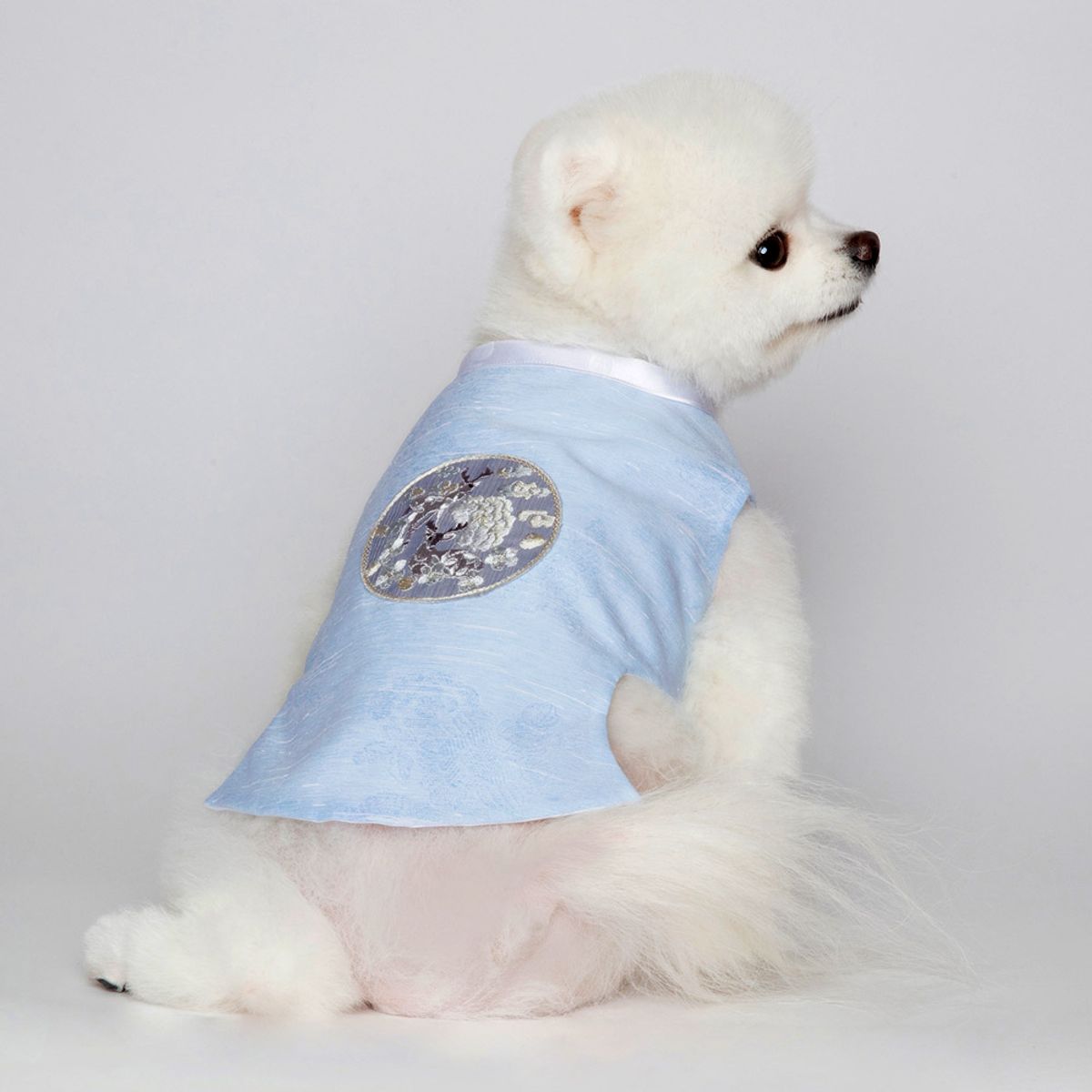 메종드독(MAISON DE DOG) 푸르내당의 강아지한복