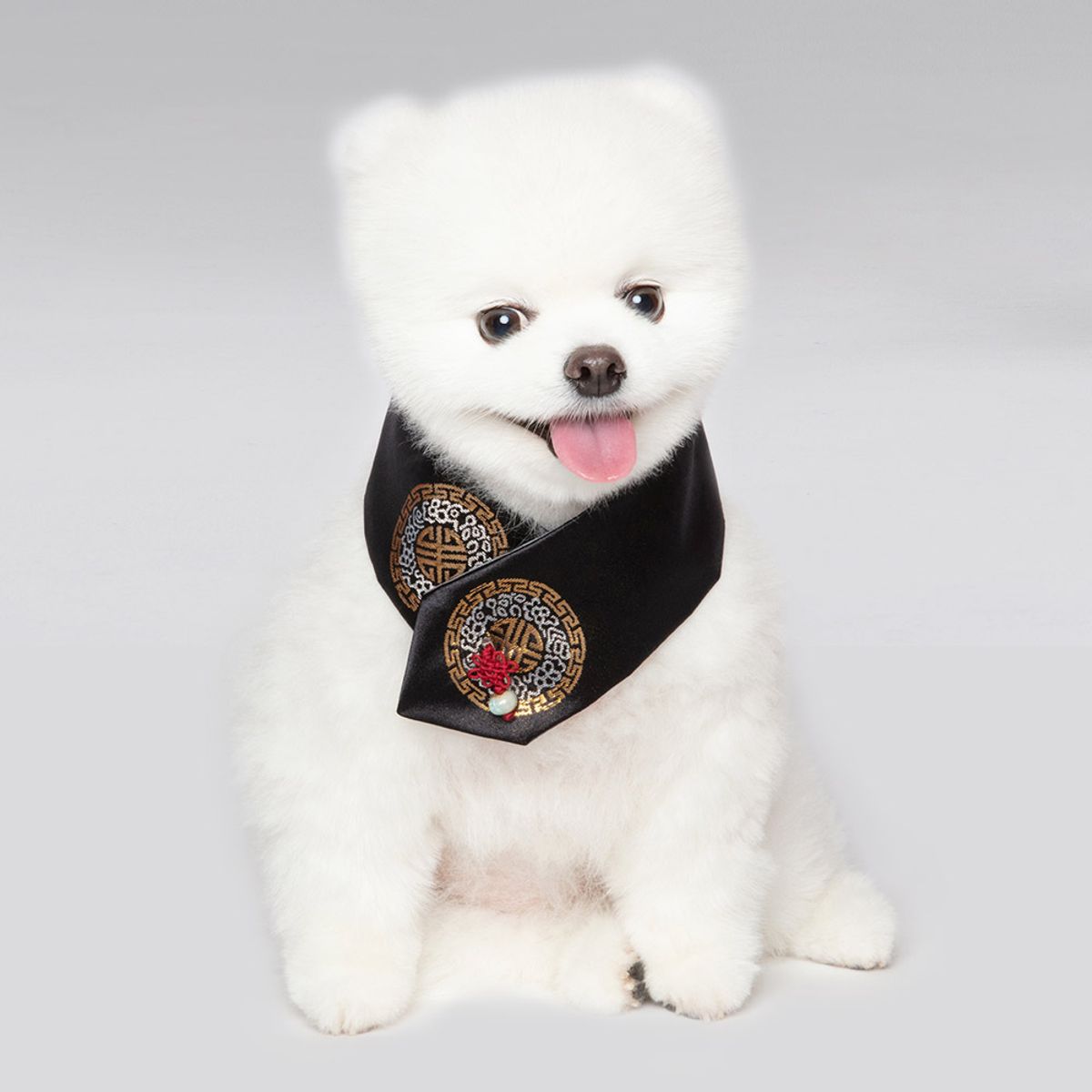 메종드독(MAISON DE DOG) 조선탑 케이프 강아지한복