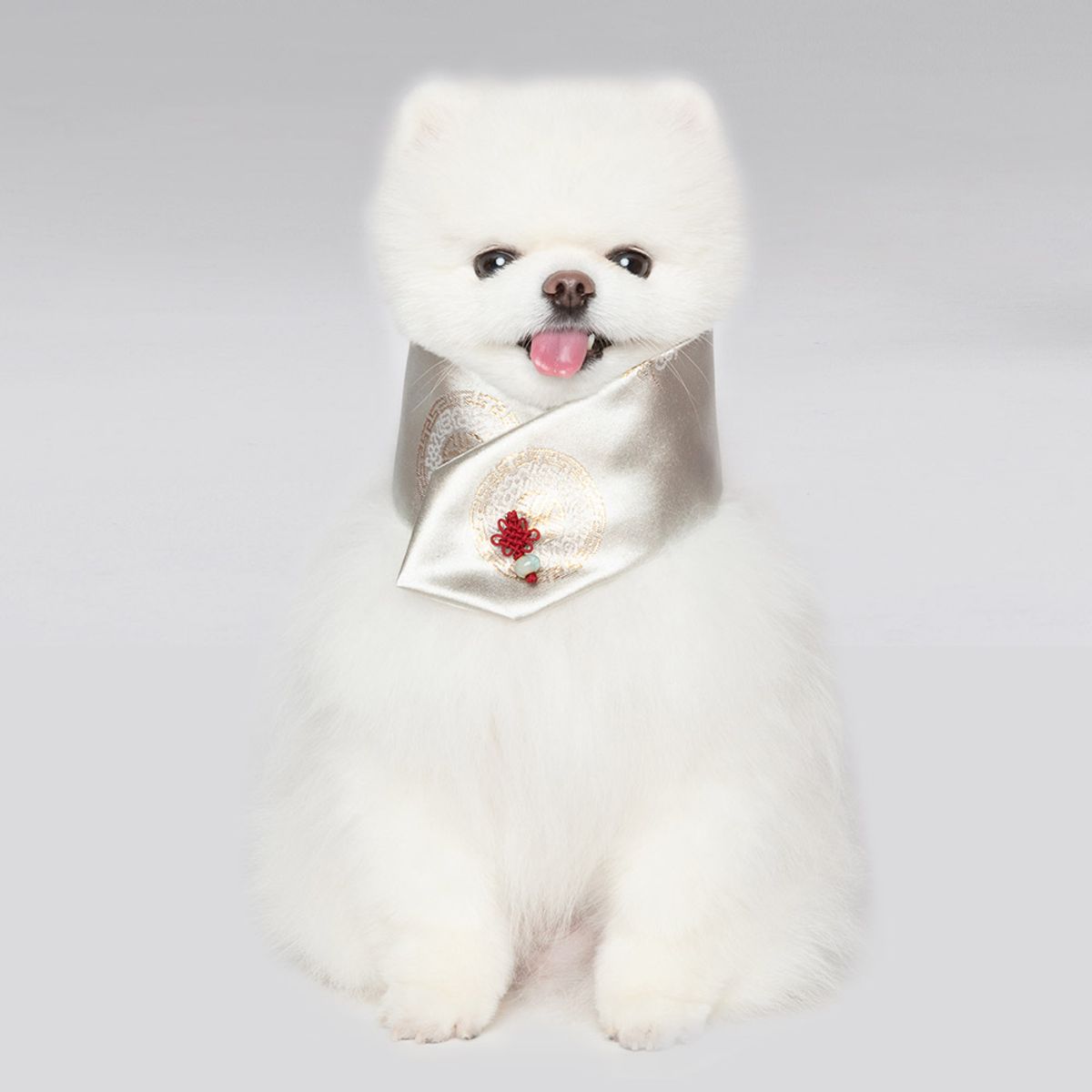 메종드독(MAISON DE DOG) 조선탑 케이프 강아지한복