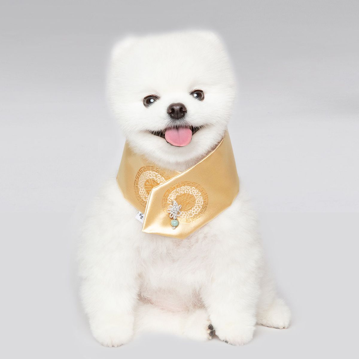 메종드독(MAISON DE DOG) 조선탑 케이프 강아지한복