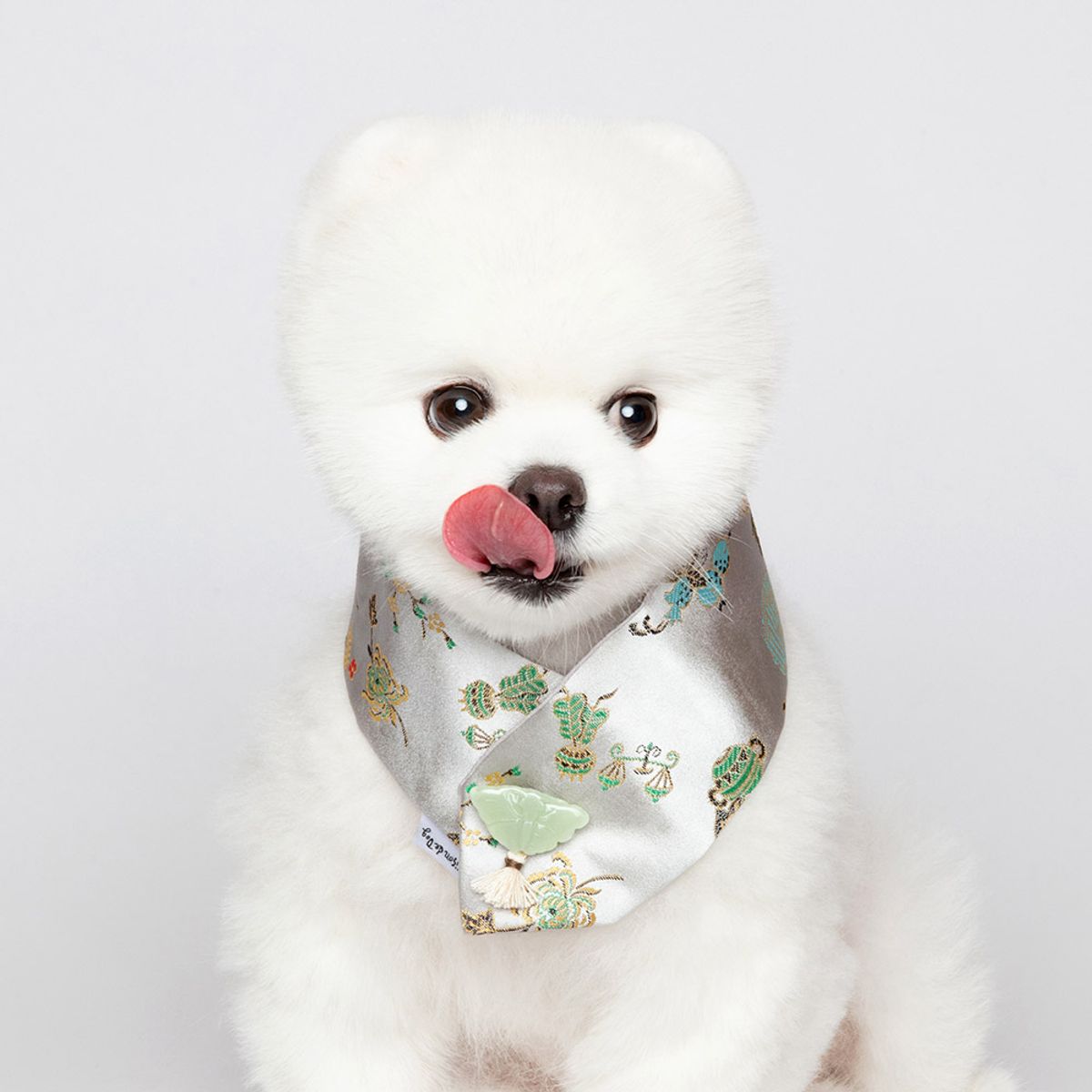 메종드독(MAISON DE DOG) 해솔쾌자 케이프세트 강아지한복