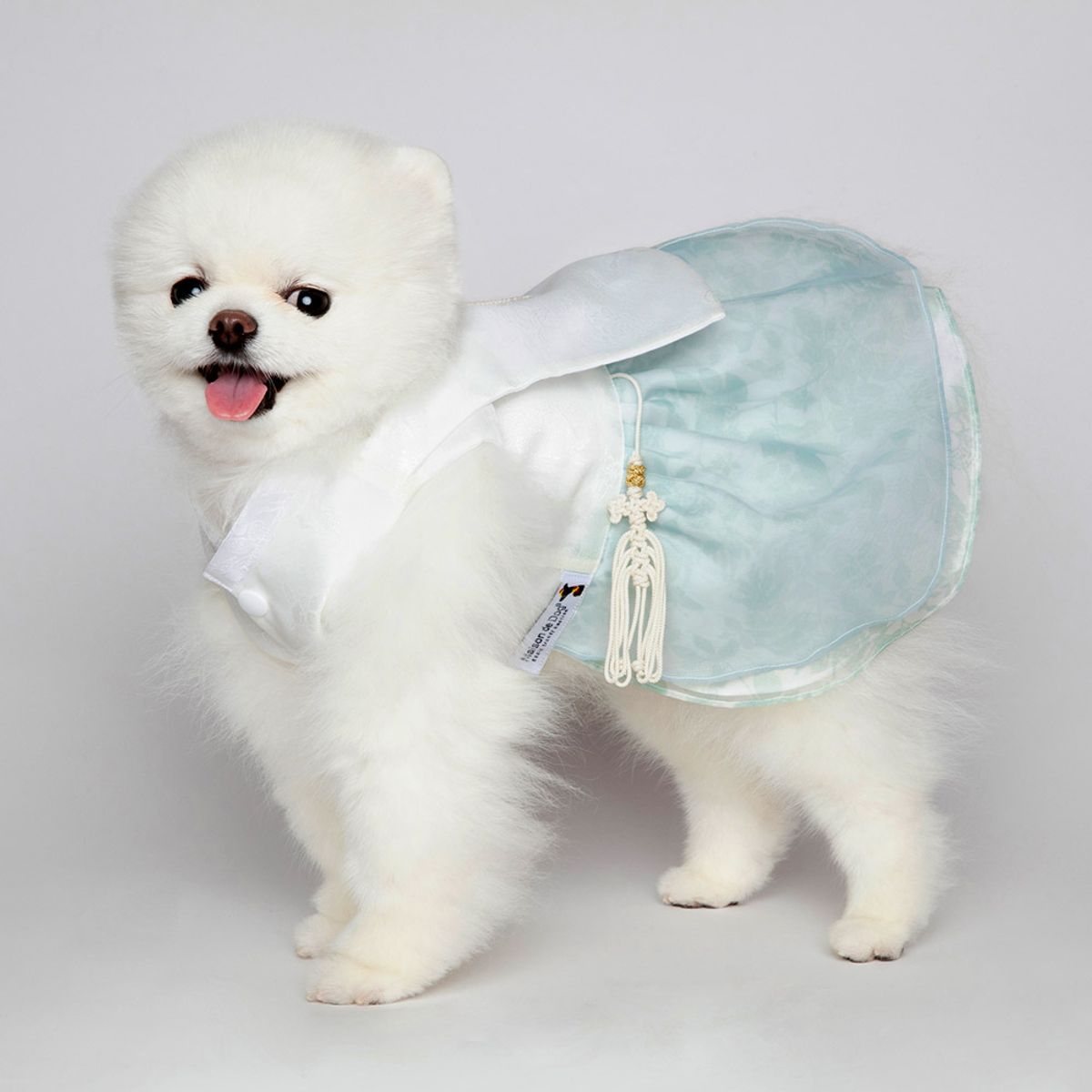 메종드독(MAISON DE DOG) 흰가람당의 케이프세트 강아지한복