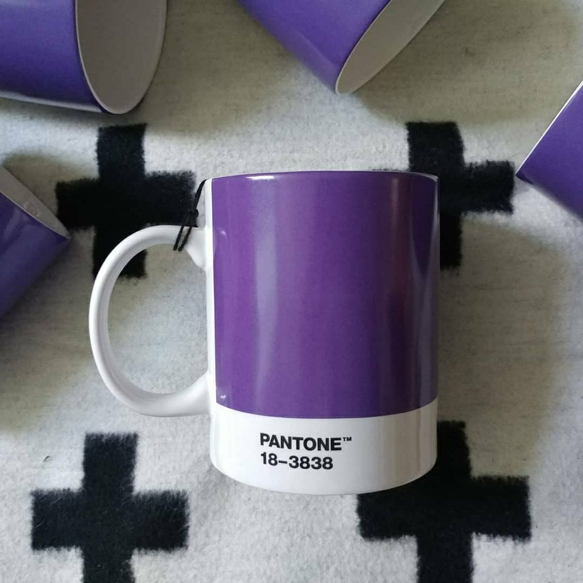 팬톤리빙(PANTONE LIVING) 팬톤 머그컵(울트라바이올렛18-3838)