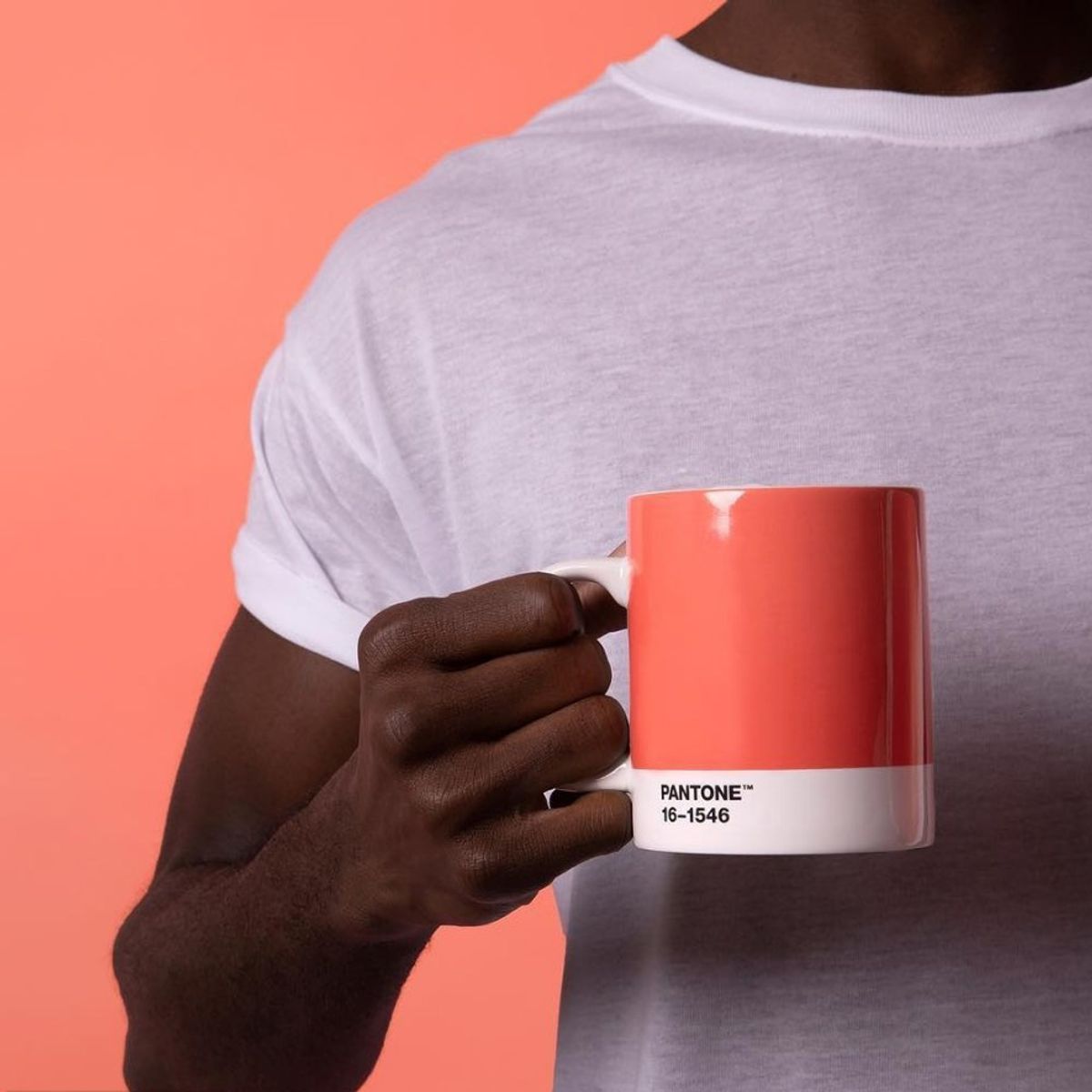 팬톤리빙(PANTONE LIVING) 팬톤 머그컵(리빙코랄16-1546)