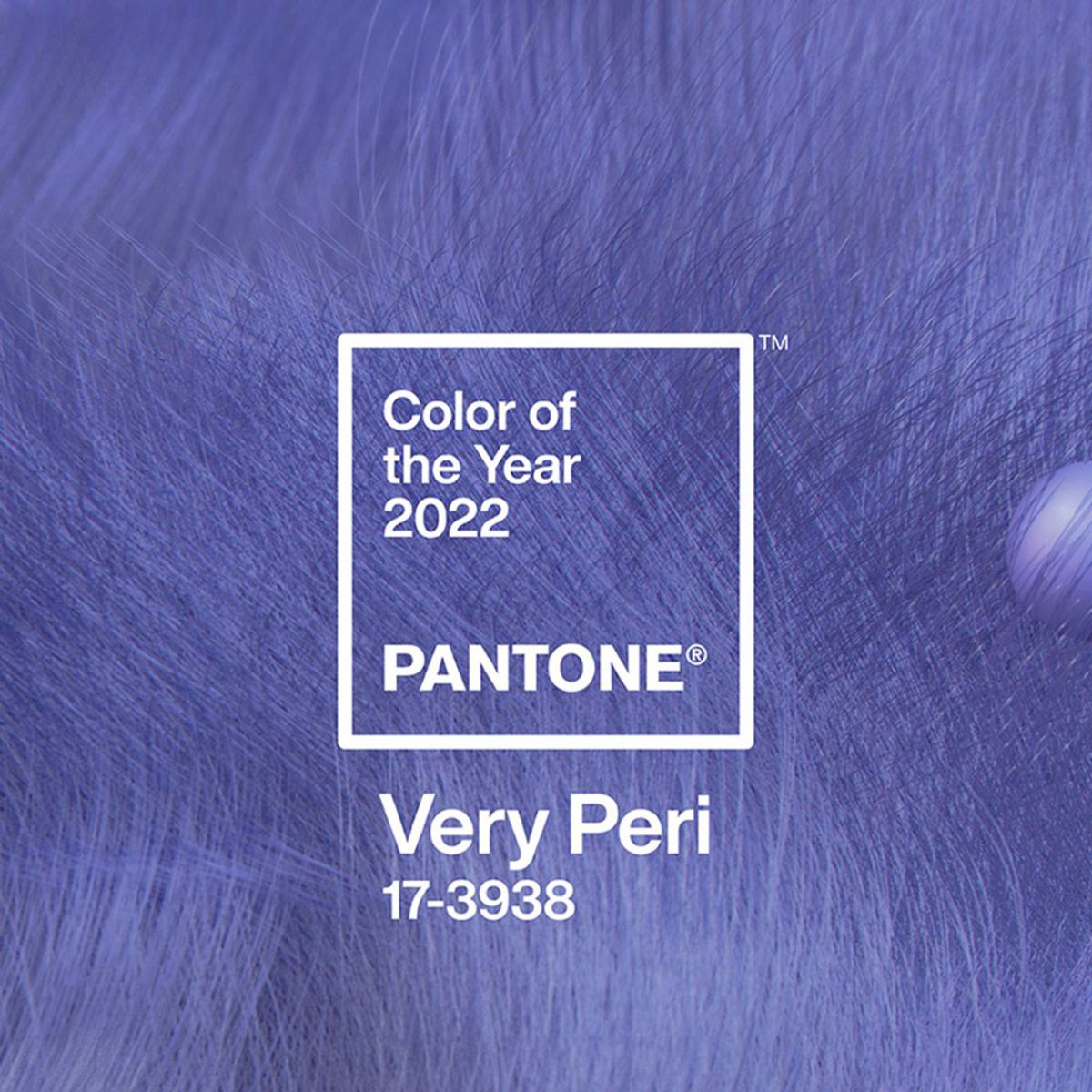 팬톤리빙(PANTONE LIVING) 팬톤 머그컵(베리페리17-3938 2022COY)