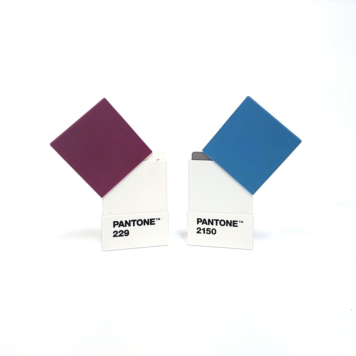 팬톤리빙(PANTONE LIVING) 팬톤 카드명함케이스(블루2150)