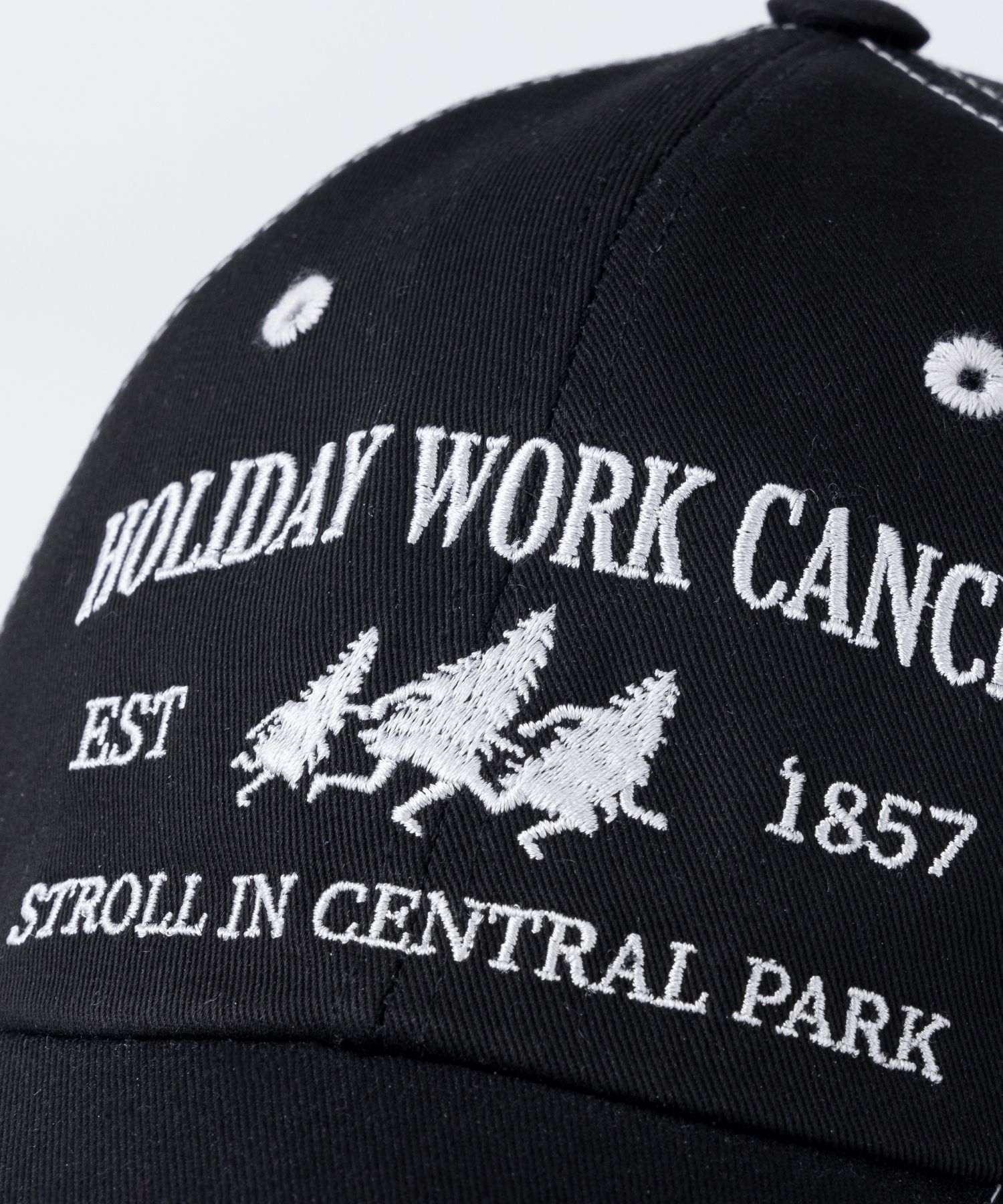 BAUF☆HWC BALL CAP MUSINSA | BAUF HWC Ball Cap [Brown]