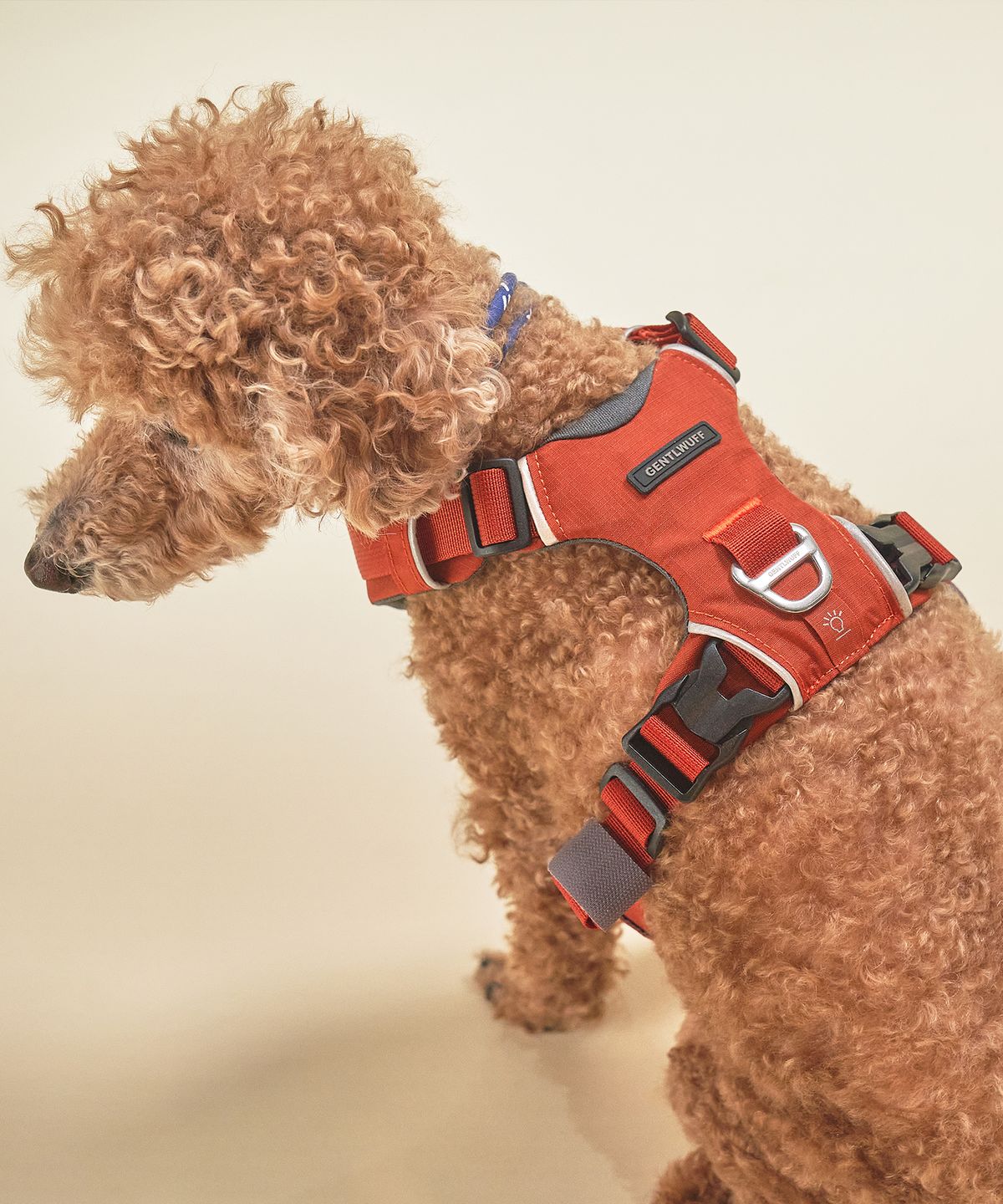 젠틀우프(GENTLWUFF) 조거 강아지 하네스 Jogger Harness (3size)