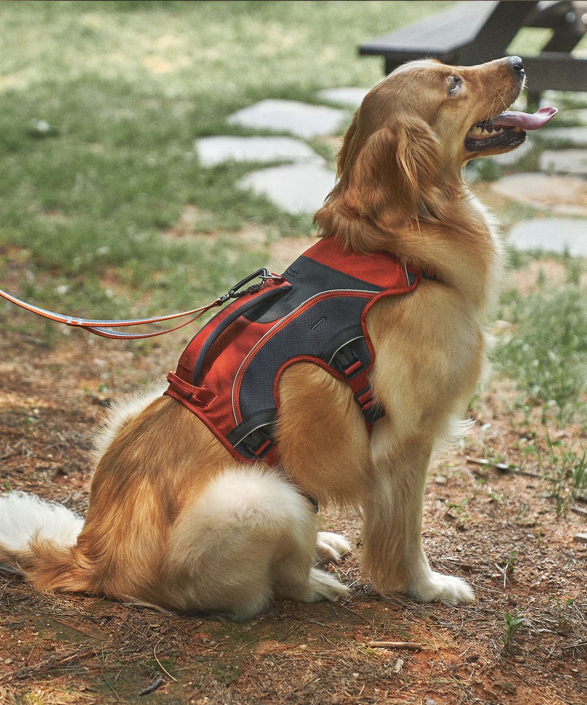 젠틀우프(GENTLWUFF) 젠틀우프 트레일러너 강아지 하네스 Trailrunner Harness (3size)