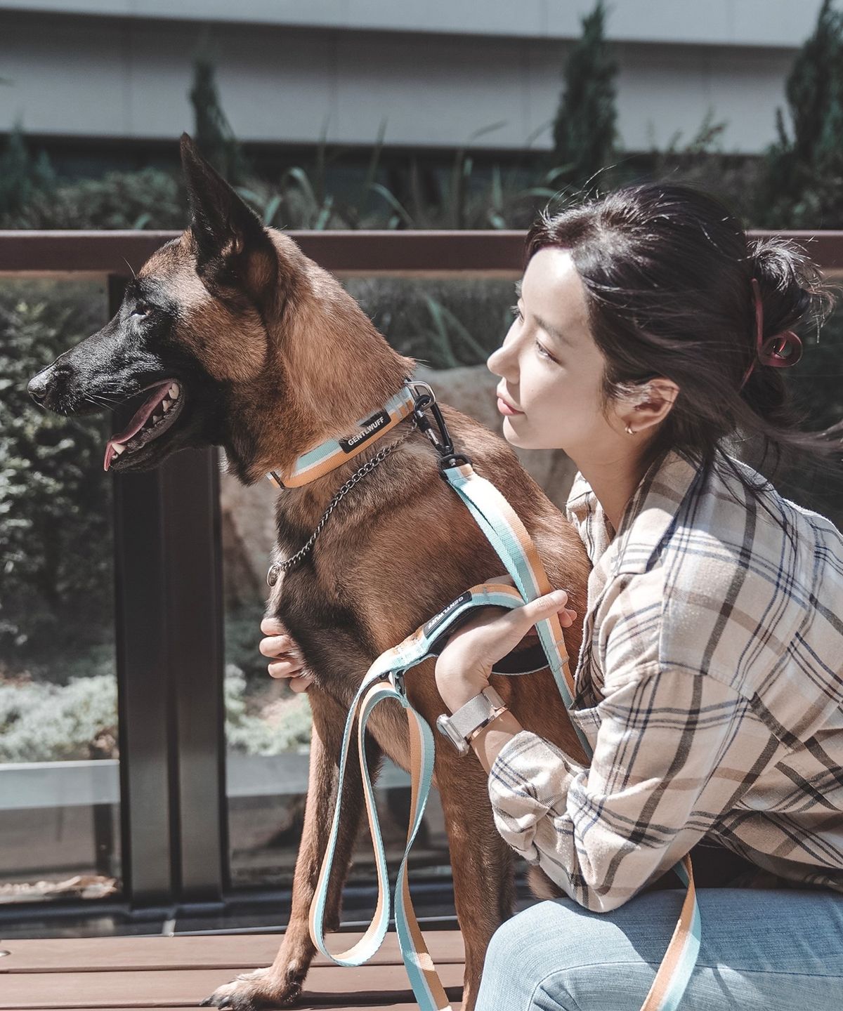젠틀우프(GENTLWUFF) 강아지 목줄 Coloration Collar (3size)