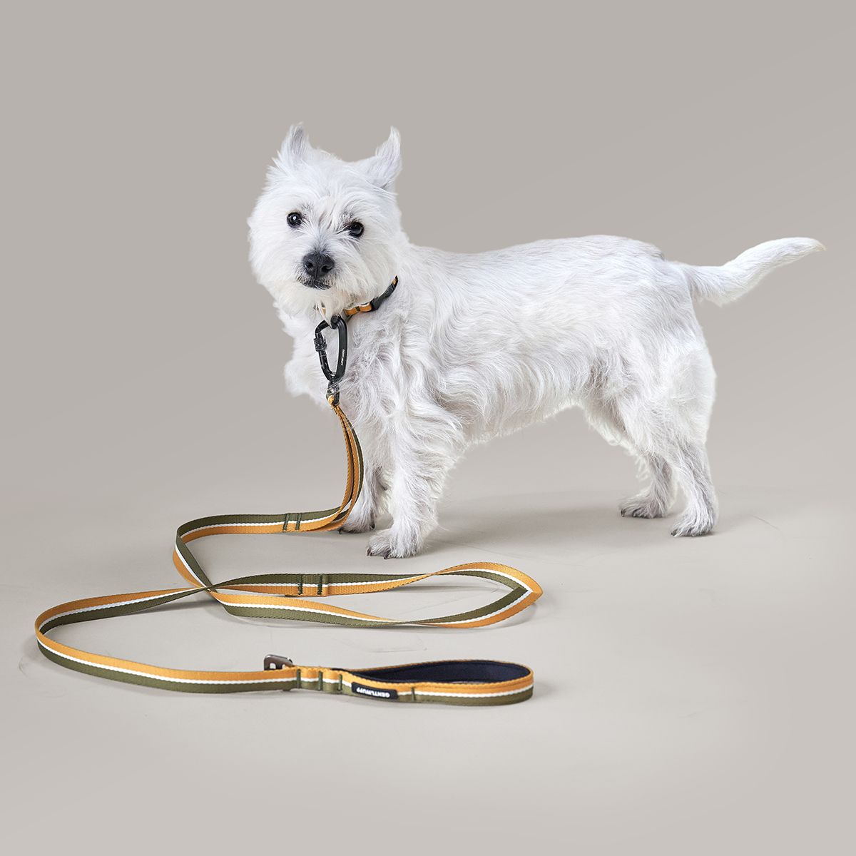 젠틀우프(GENTLWUFF) 강아지 리드줄 Coloration Leash (3size)