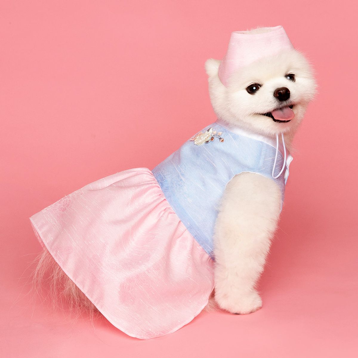 메종드독(MAISON DE DOG) 덕임 케이프세트 강아지한복