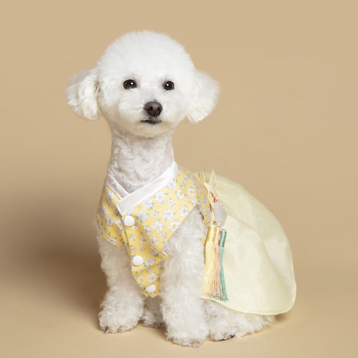 메종드독(MAISON DE DOG) 골든벨 케이프세트 강아지한복