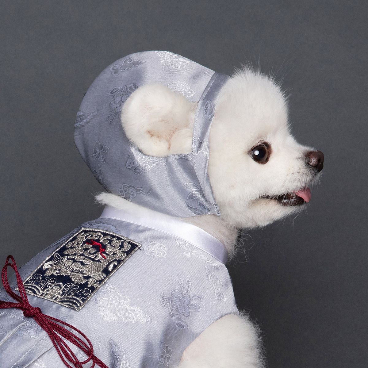 메종드독(MAISON DE DOG) 남아모자 복건 강아지한복