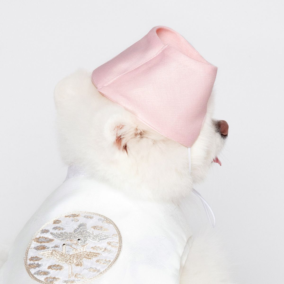메종드독(MAISON DE DOG) 여아모자 아얌 강아지한복