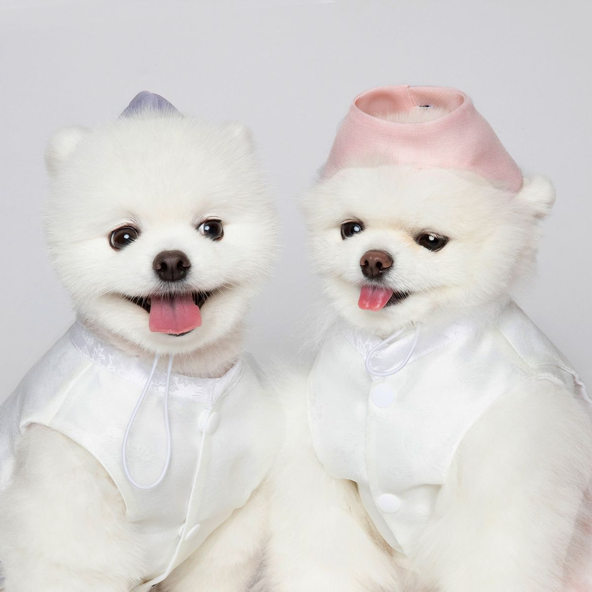 메종드독(MAISON DE DOG) 여아모자 아얌 강아지한복