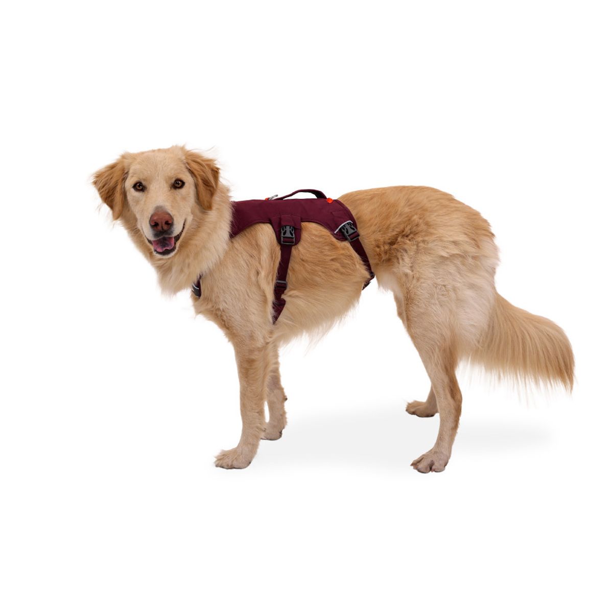러프웨어(RUFFWEAR) 웹 마스터 하네스(Web Master™ Harness)
