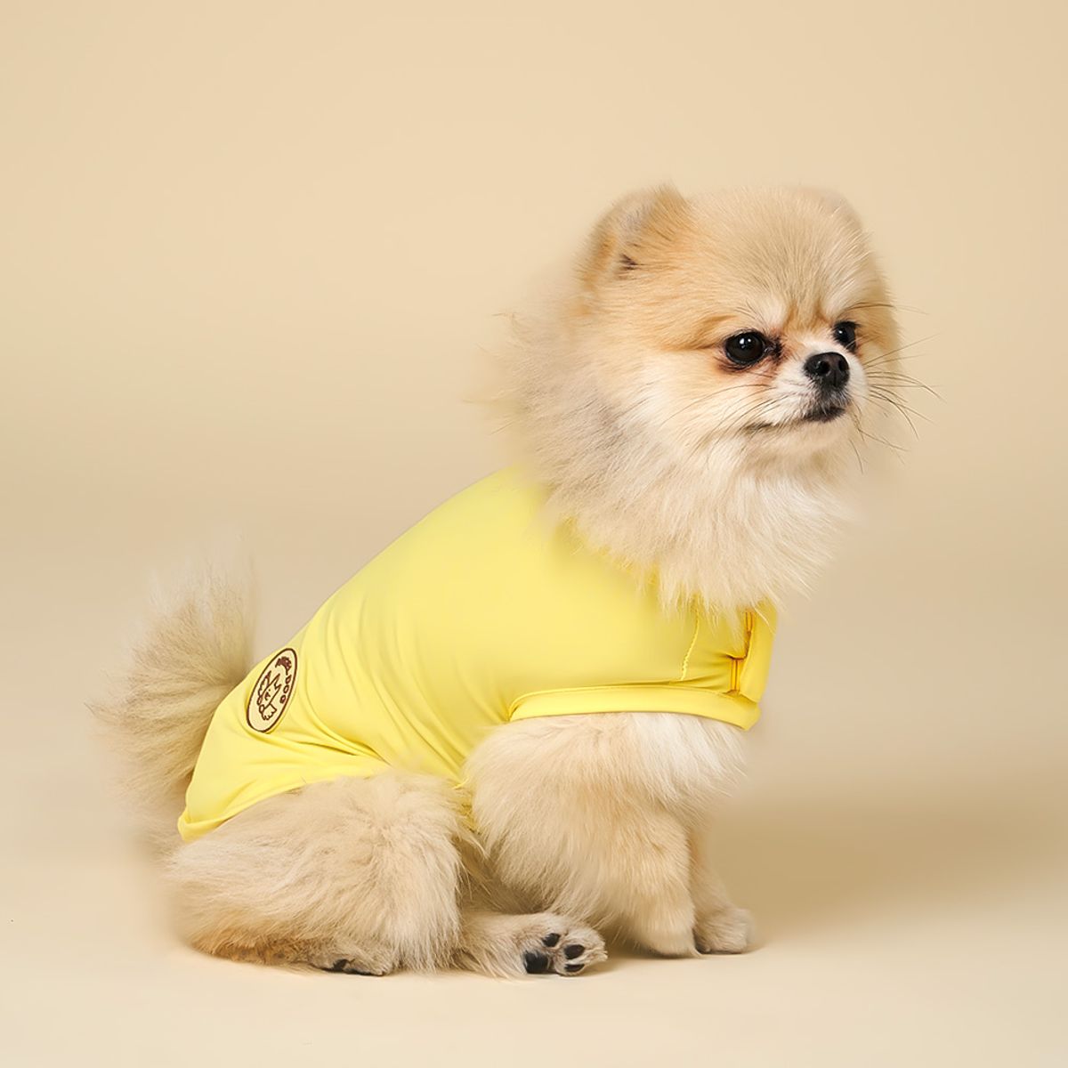 엔젤도그(ANGEL DOG) 개어리즘 강아지 쿨조끼 Yellow