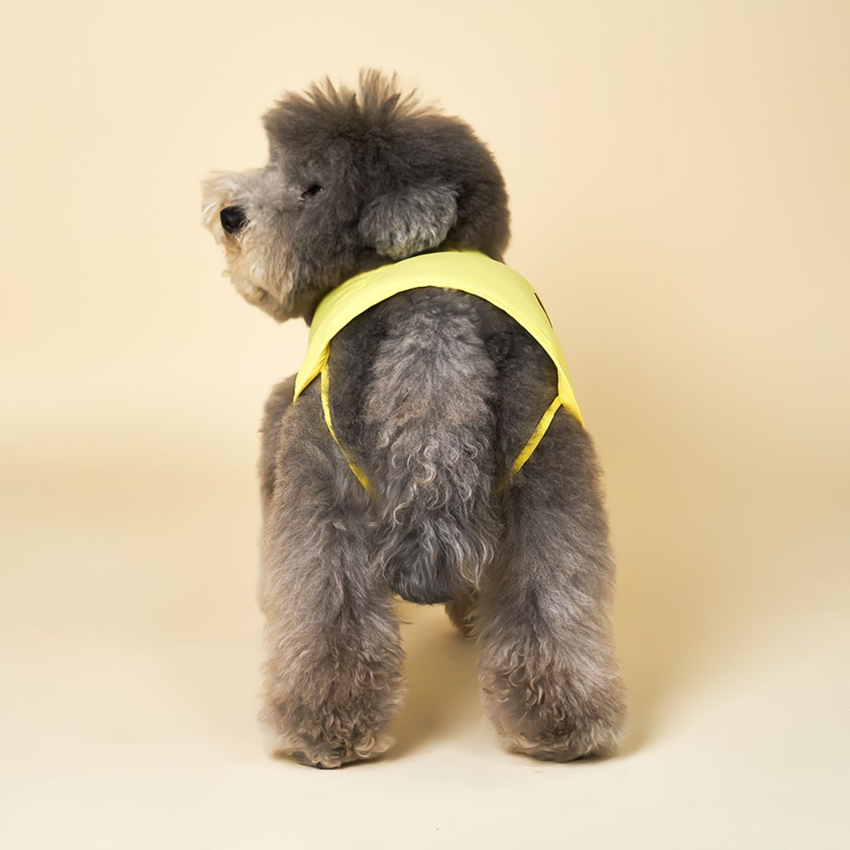 엔젤도그(ANGEL DOG) 개어리즘 강아지 쿨조끼 Yellow