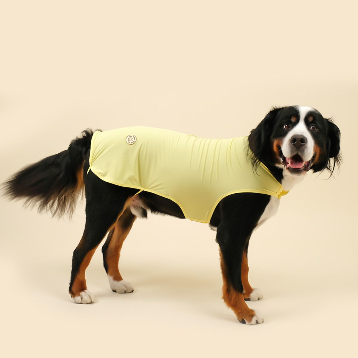 엔젤도그(ANGEL DOG) 개어리즘 강아지 쿨조끼 Yellow