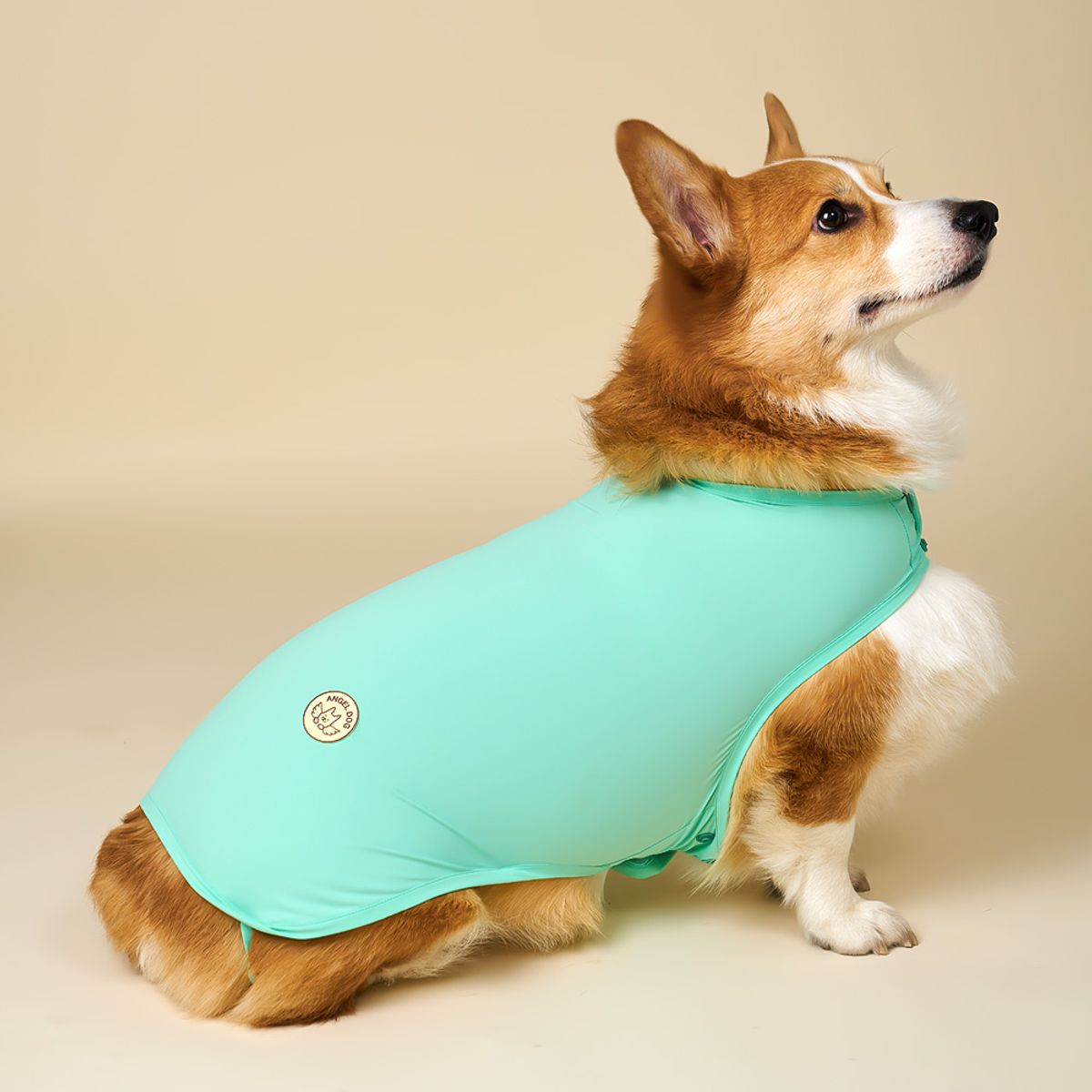 엔젤도그(ANGEL DOG) 개어리즘 강아지 쿨조끼 Mint