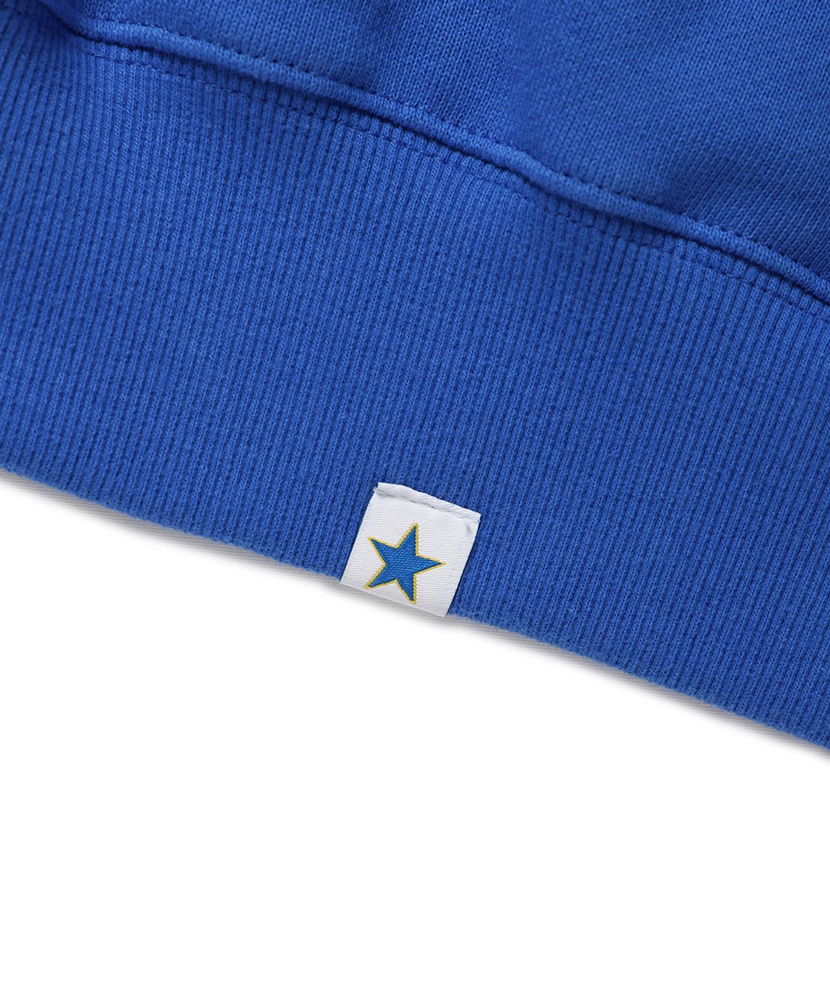 카비시(CAVISH) SELLER LOGO HOODIE BLUE(GREEN)(CV2BFUM400A)