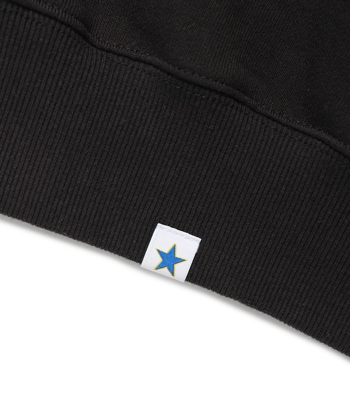 카비시(CAVISH) PLUR LOGO HOODIE BLACK(CV2BFUM402A)