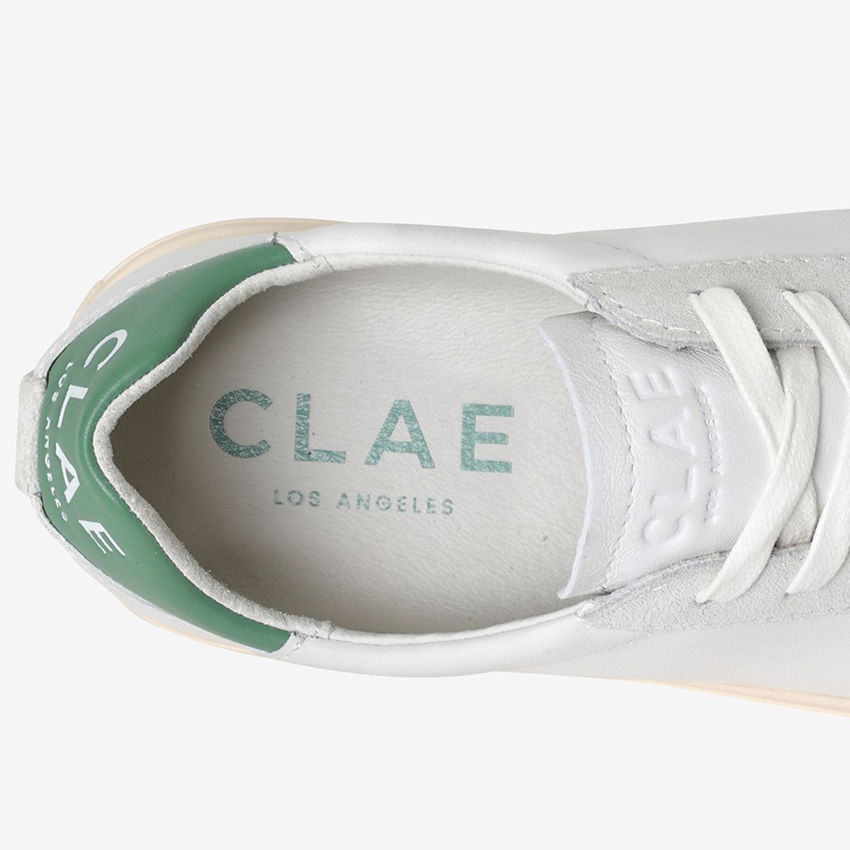 클래이(CLAE) 브래들리 캘리포니아 (WLG) SCEU231BR00-WLG