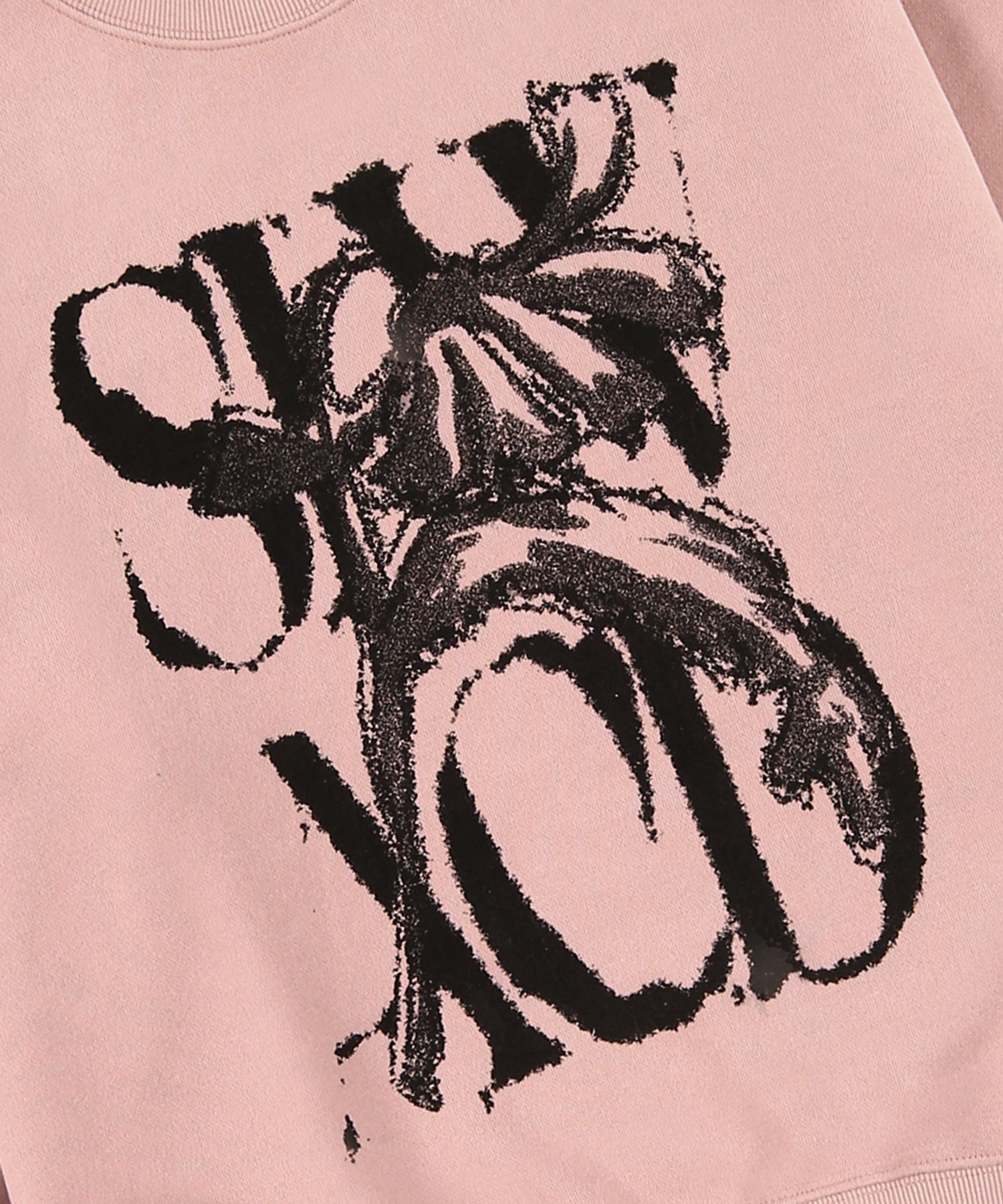◆SLOW ACID PEACHSKIN RUSTY LOGOフーディ/5色/送料込◆ Slow Acid Peach Skin Rusty Logo Sweatshirt Seen Worn by