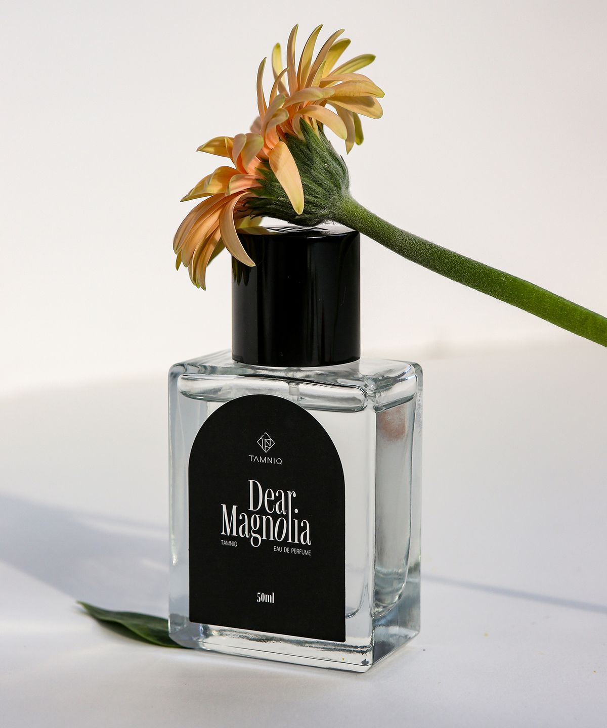 탐니크(TAMNIQ) 오드퍼퓸 디어 매그놀리아 50ml (남녀공용)