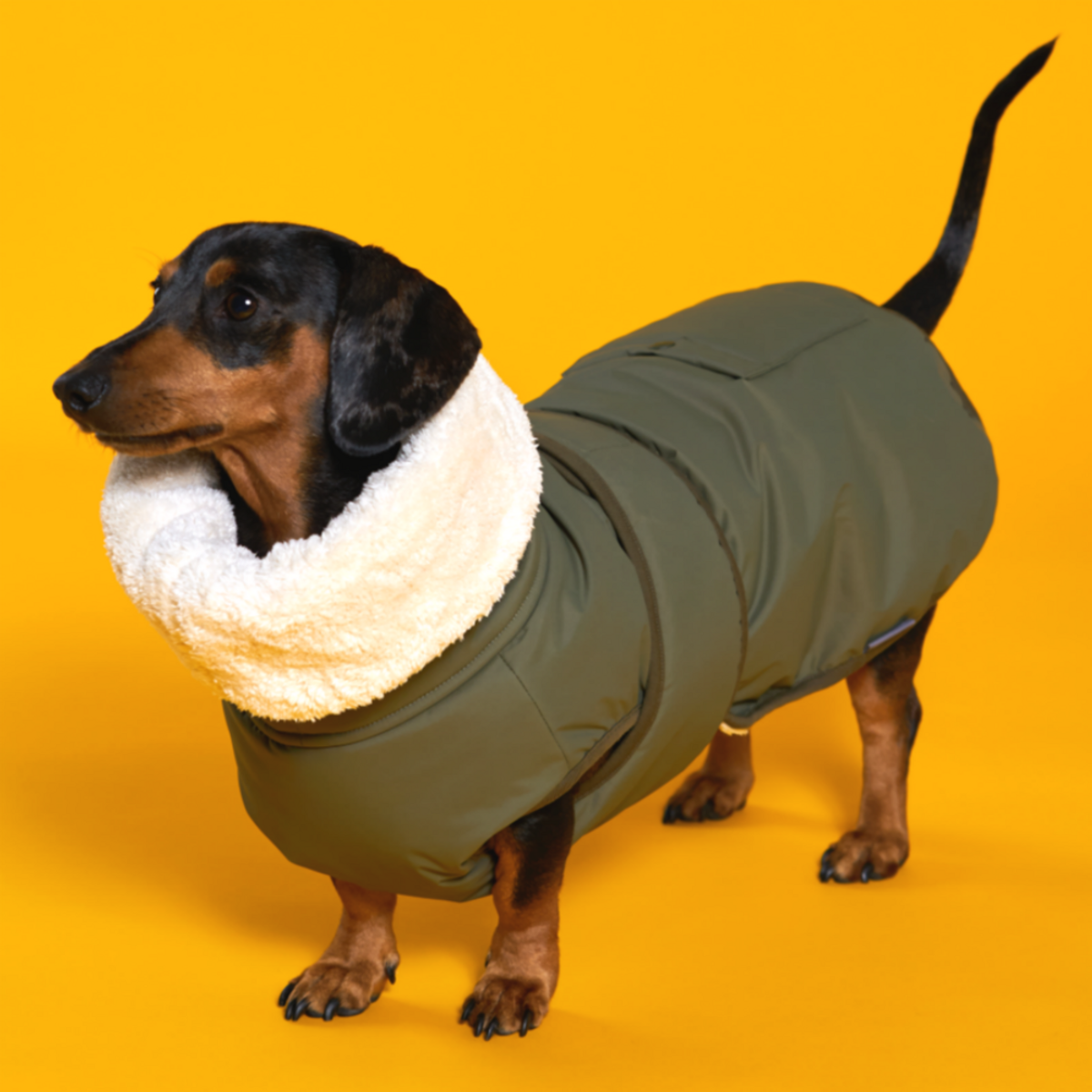엔젤도그(ANGEL DOG) 개따뜨텍 강아지 패딩 Khaki