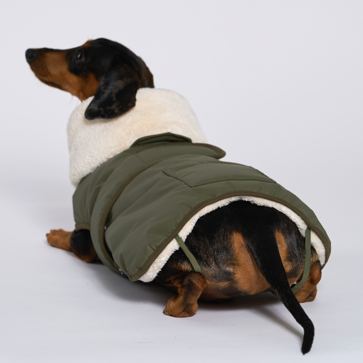 엔젤도그(ANGEL DOG) 개따뜨텍 강아지 패딩 Khaki
