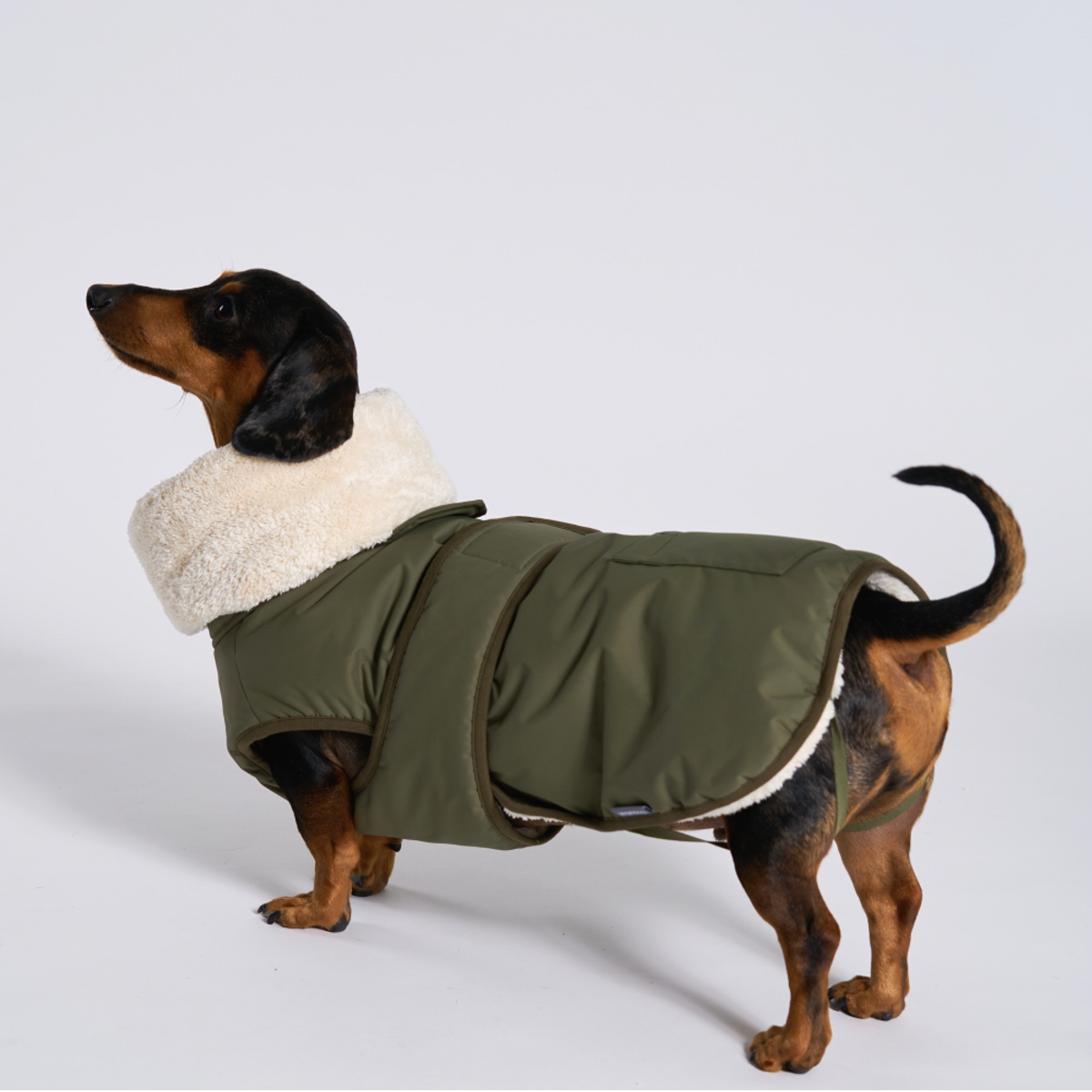 엔젤도그(ANGEL DOG) 개따뜨텍 강아지 패딩 Khaki
