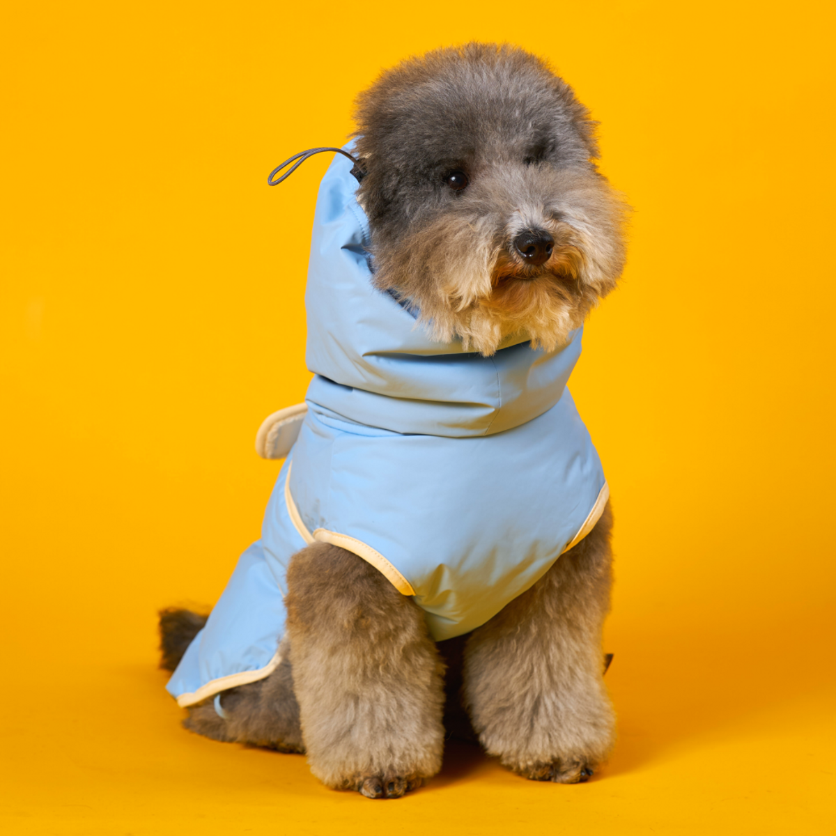 엔젤도그(ANGEL DOG) 개따뜨텍 강아지 패딩 Sky Blue