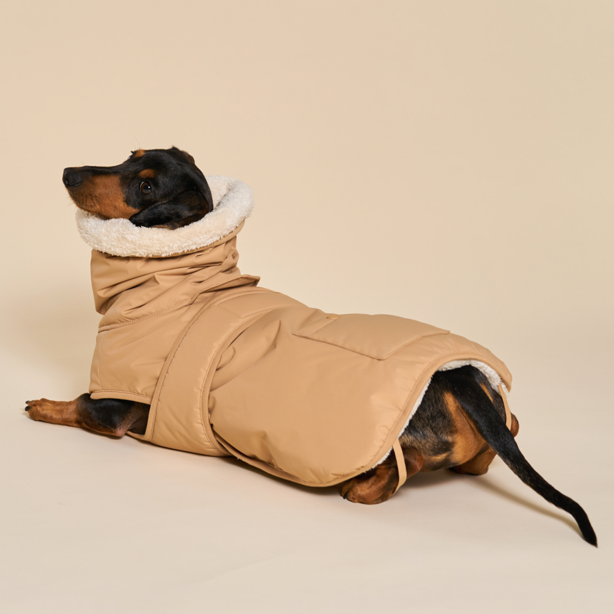 엔젤도그(ANGEL DOG) 개따뜨텍 강아지 패딩 Beige